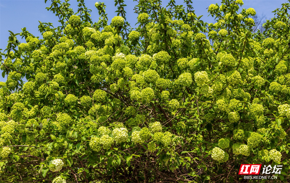 图片16.png 图片16.png