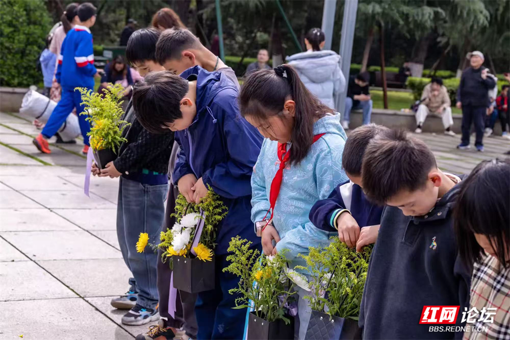 图片11.png 图片11.png