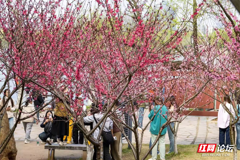 图片17.png 图片17.png