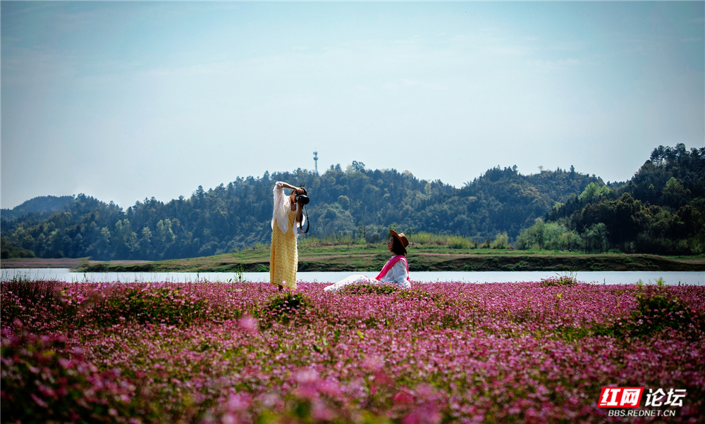 nEO_IMG_微信图片_20260405211946_112_2059.jpg nEO_IMG_微信图片_20260405211946_112_2059.jpg