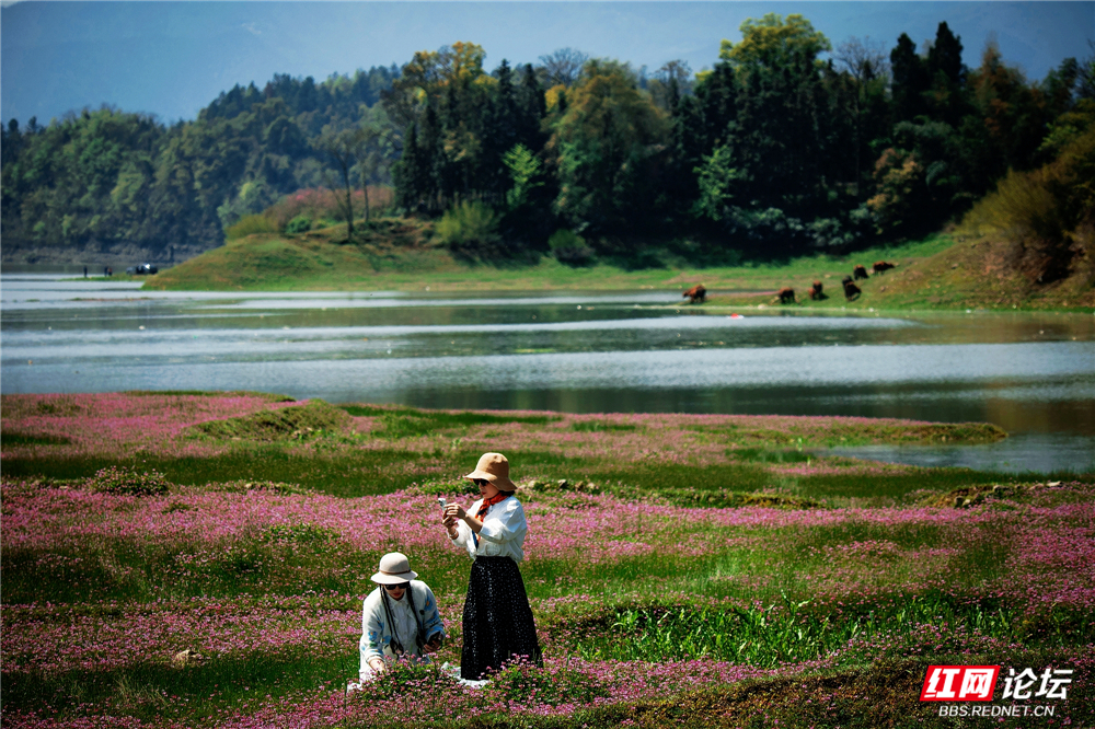 nEO_IMG_微信图片_20260405211914_108_2059.jpg nEO_IMG_微信图片_20260405211914_108_2059.jpg