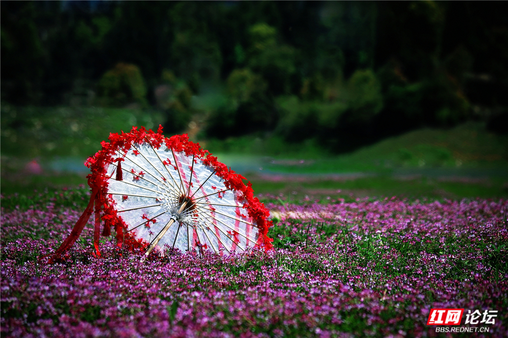 nEO_IMG_微信图片_20260405211939_111_2059.jpg nEO_IMG_微信图片_20260405211939_111_2059.jpg