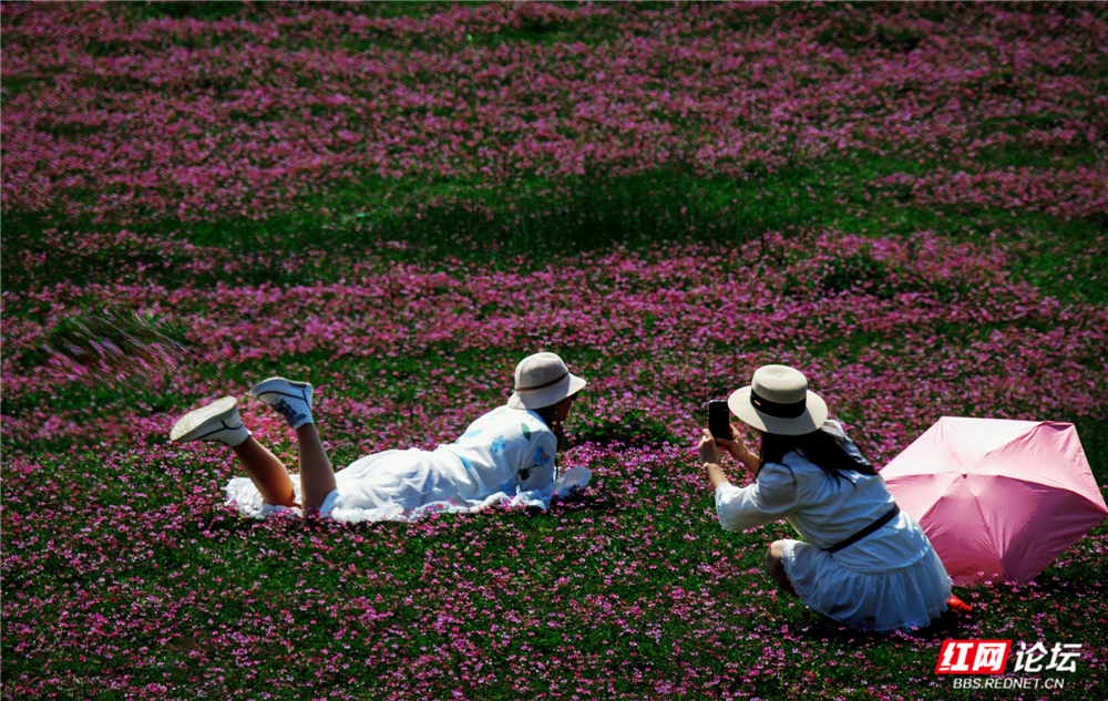 nEO_IMG_微信图片_20260405212006_115_2059.jpg nEO_IMG_微信图片_20260405212006_115_2059.jpg