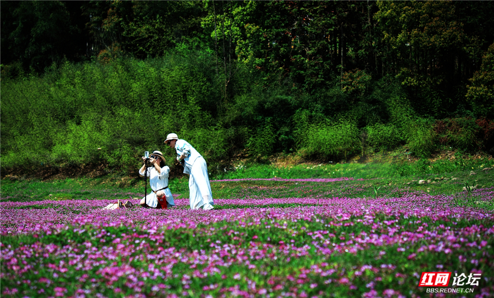 nEO_IMG_微信图片_20260405211950_113_2059.jpg nEO_IMG_微信图片_20260405211950_113_2059.jpg