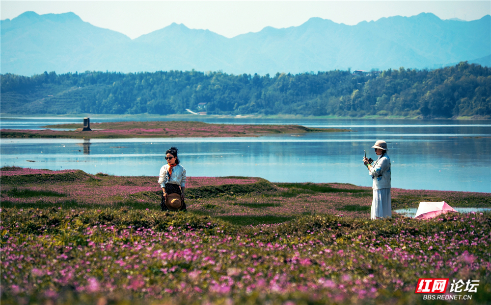 nEO_IMG_微信图片_20260405211957_114_2059.jpg nEO_IMG_微信图片_20260405211957_114_2059.jpg