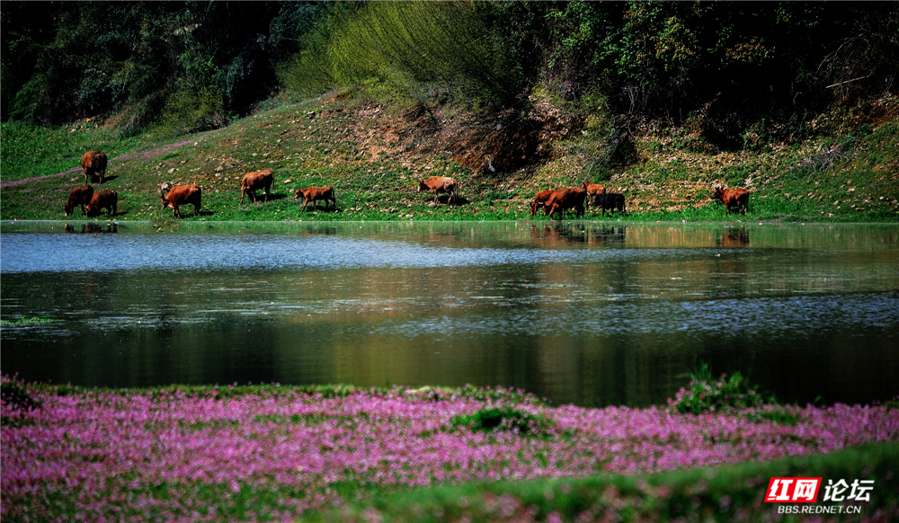 nEO_IMG_微信图片_20260405211933_110_2059.jpg nEO_IMG_微信图片_20260405211933_110_2059.jpg