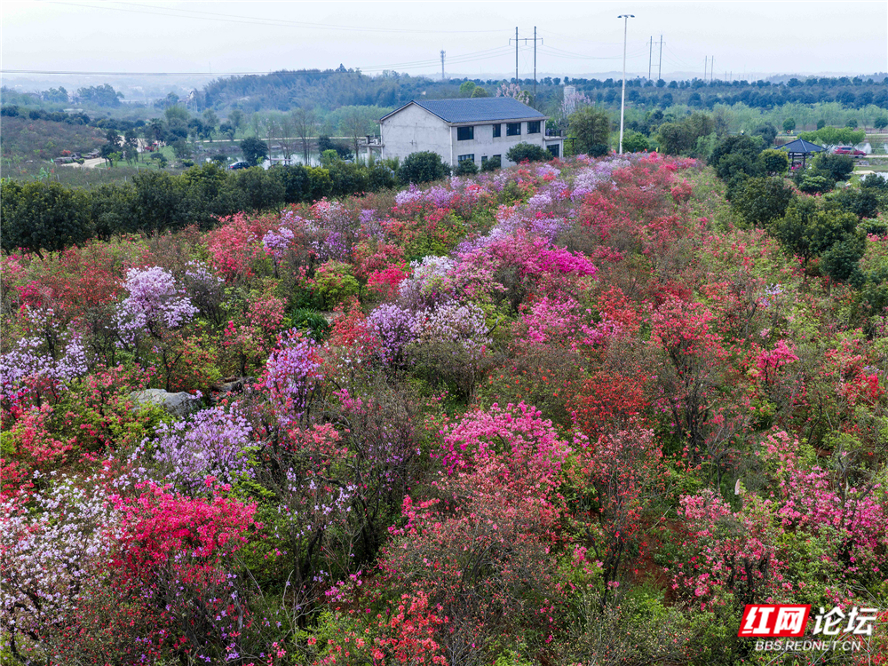 微信图片_20260407221536_169_180a.jpg 微信图片_20260407221536_169_180a.jpg