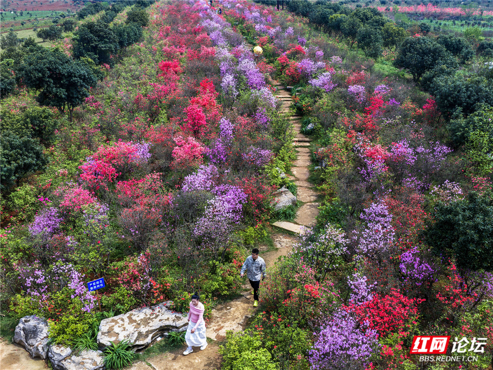 微信图片_20260407221534_168_180a.jpg 微信图片_20260407221534_168_180a.jpg