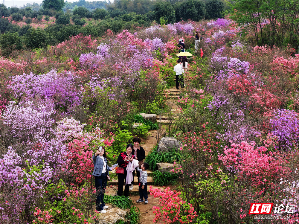 nEO_IMG_微信图片_20260407221520_163_180.jpg nEO_IMG_微信图片_20260407221520_163_180.jpg