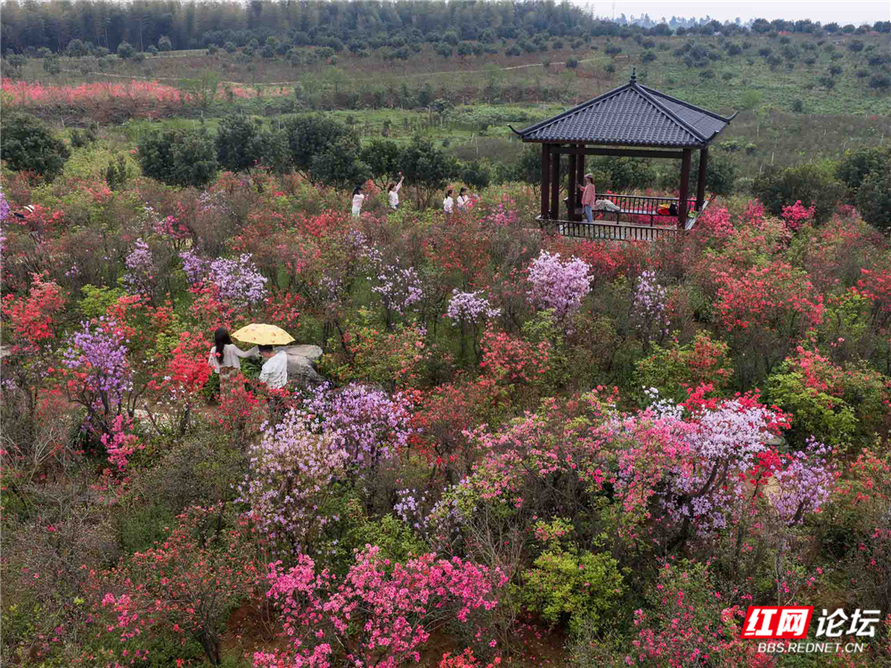 微信图片_20260407221539_170_180a.jpg 微信图片_20260407221539_170_180a.jpg