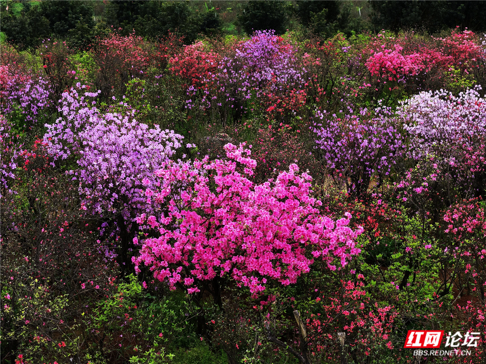 nEO_IMG_微信图片_20260407221555_174_180.jpg nEO_IMG_微信图片_20260407221555_174_180.jpg