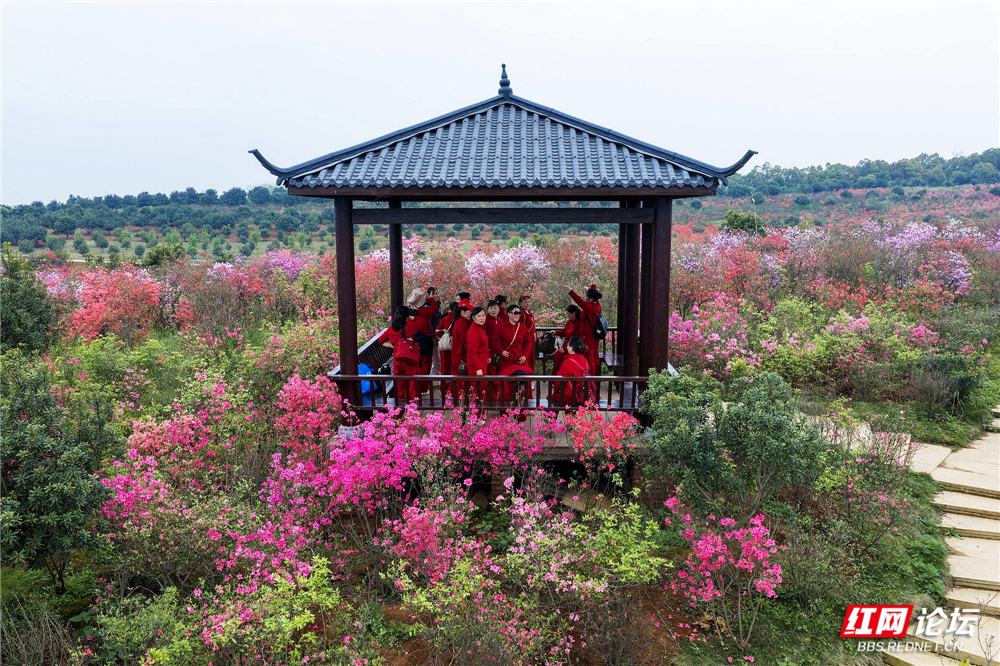 nEO_IMG_微信图片_20260407221557_175_180.jpg nEO_IMG_微信图片_20260407221557_175_180.jpg