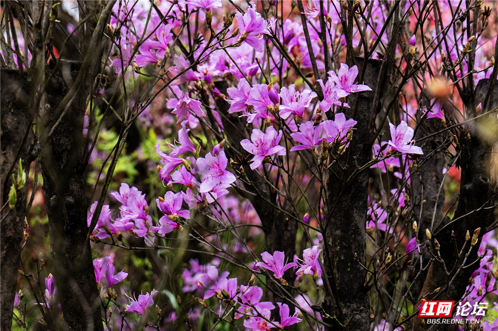 nEO_IMG_微信图片_20260407221601_178_180.jpg nEO_IMG_微信图片_20260407221601_178_180.jpg