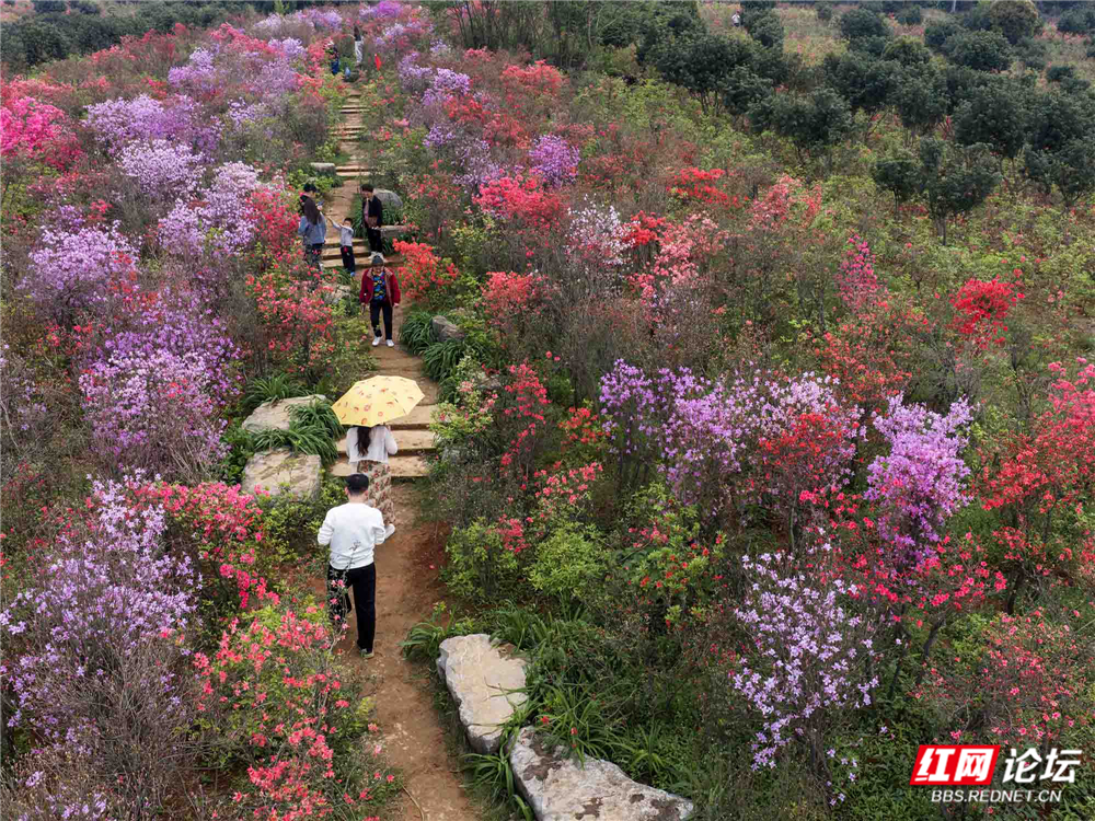 微信图片_20260407221542_171_180a.jpg 微信图片_20260407221542_171_180a.jpg