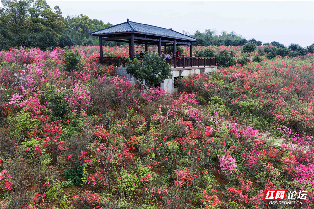 微信图片_20260407221522_164_180a.jpg 微信图片_20260407221522_164_180a.jpg