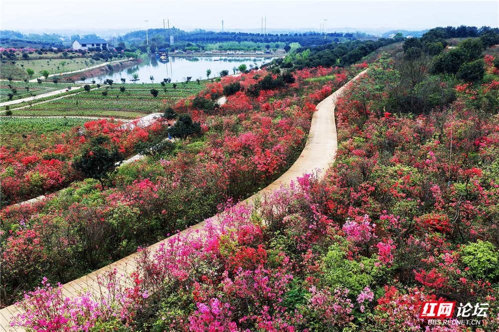 nEO_IMG_微信图片_20260407221529_166_180.jpg nEO_IMG_微信图片_20260407221529_166_180.jpg