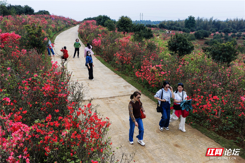 nEO_IMG_微信图片_20260407221531_167_180.jpg nEO_IMG_微信图片_20260407221531_167_180.jpg