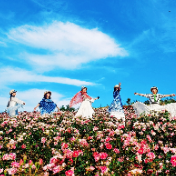 【每日一图@湖南】百年锡矿山换皮肤，荒土开出玫瑰花海
