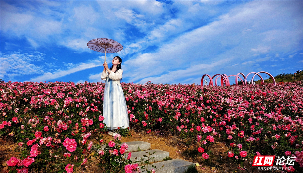 nEO_IMG_微信图片_20260512090627_224_2059.jpg nEO_IMG_微信图片_20260512090627_224_2059.jpg