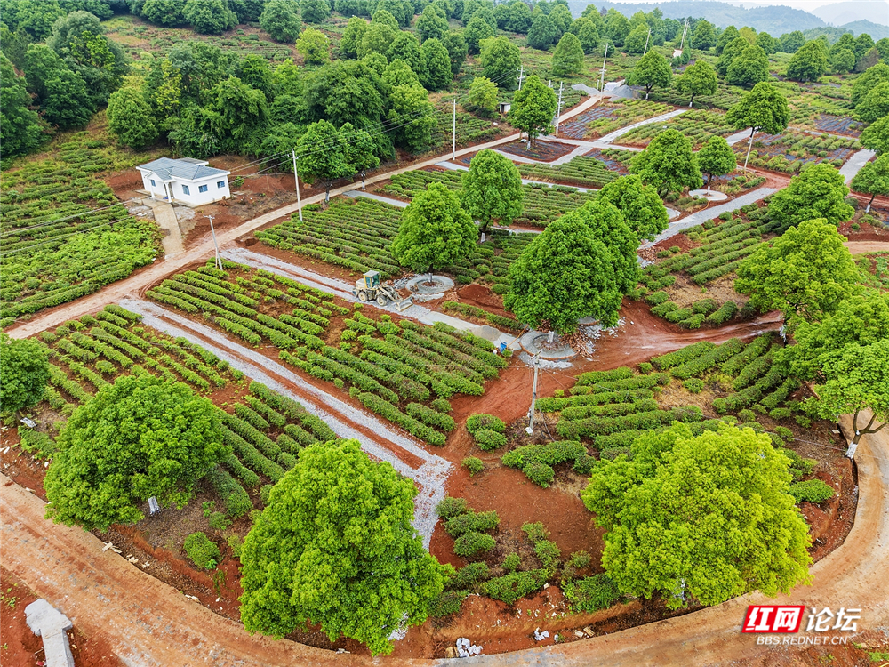 nEO_IMG_DJI_20260513135411_0097_D 拷贝.jpg