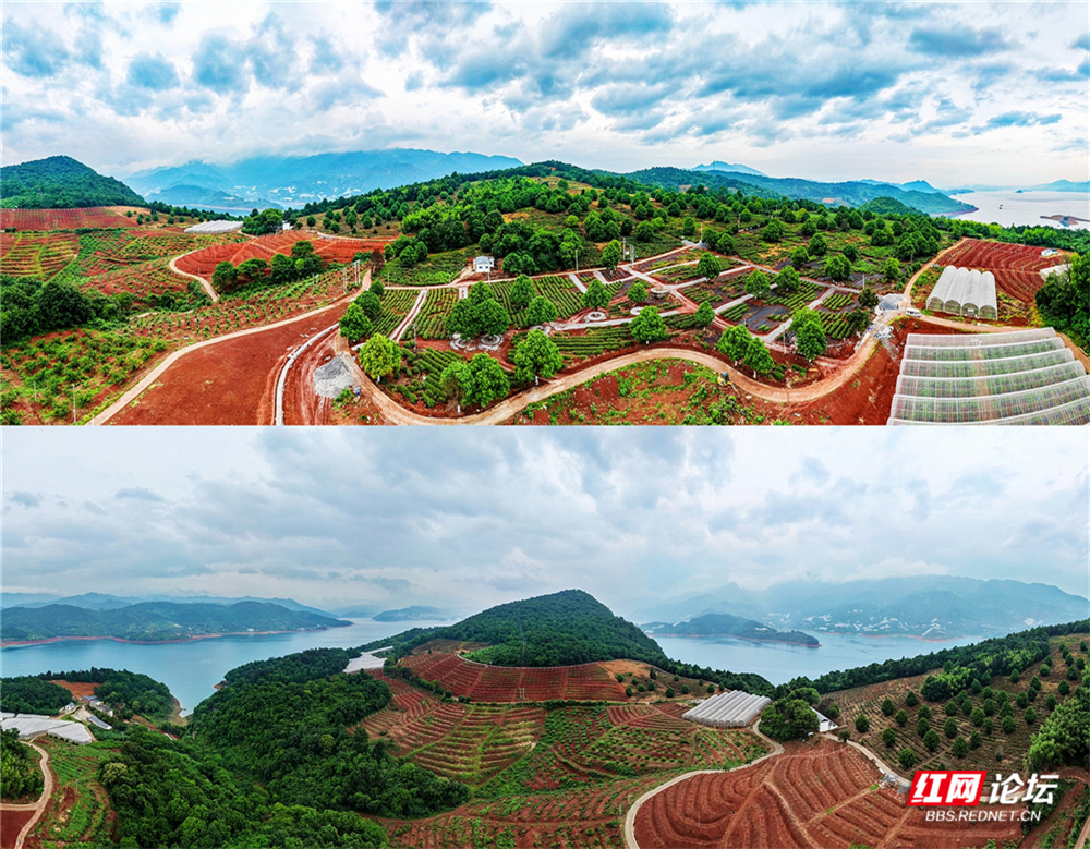 nEO_IMG_DJI_20260513130511_0015_D 拷贝22.jpg