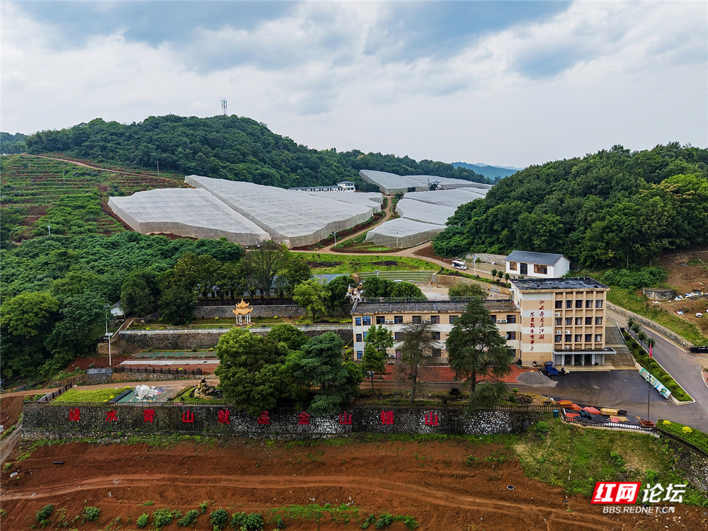 nEO_IMG_DJI_20260513133449_0065_D 拷贝.jpg