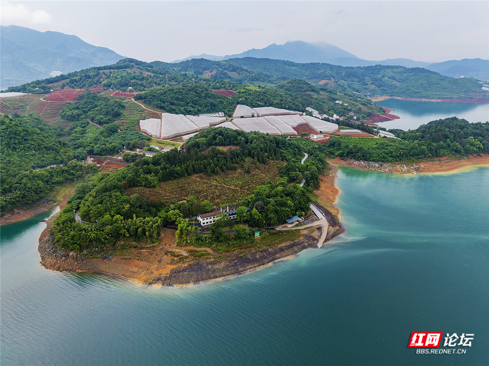 nEO_IMG_DJI_20260513130621_0018_D 拷贝.jpg