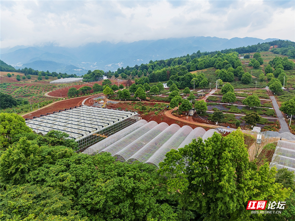 nEO_IMG_DJI_20260513134840_0081_D 拷贝.jpg