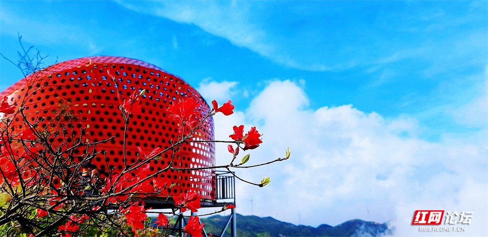 nEO_IMG_微信图片_20260517195301_164_3155.jpg