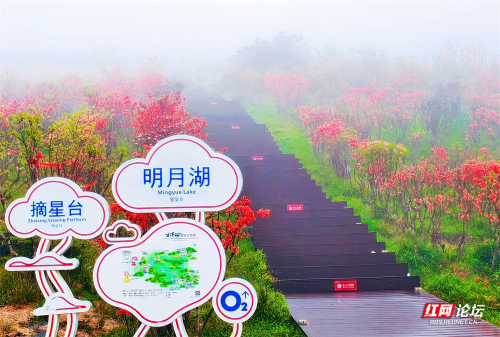 nEO_IMG_微信图片_20260517195314_171_3155.jpg