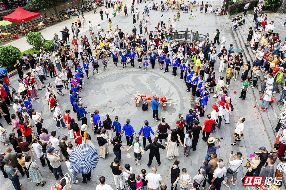 nEO_IMG_DJI_0736.jpg