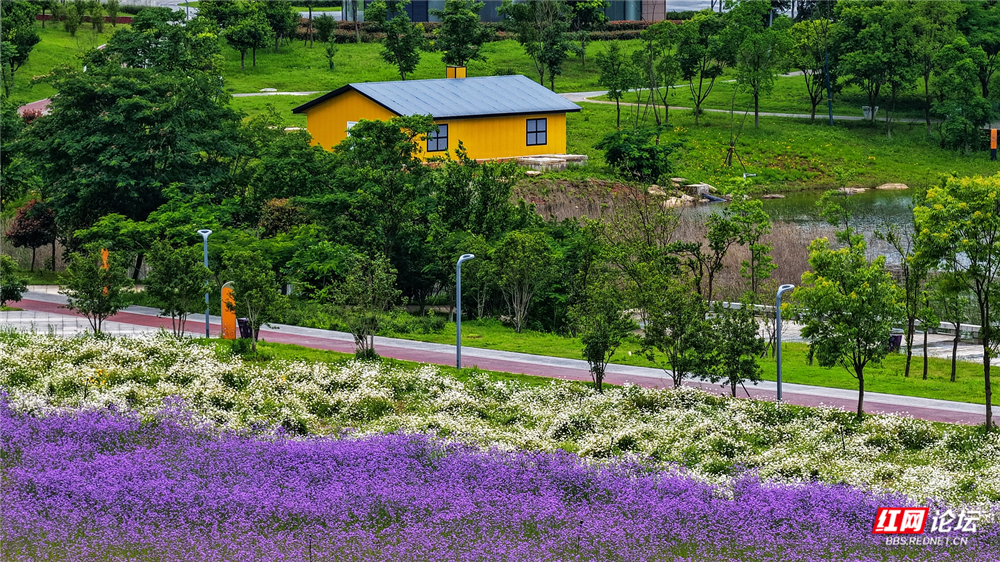 nEO_IMG_dji_fly_20260522_123536_0136_1779425132047_photo.jpg nEO_IMG_dji_fly_20260522_123536_0136_1779425132047_photo.jpg