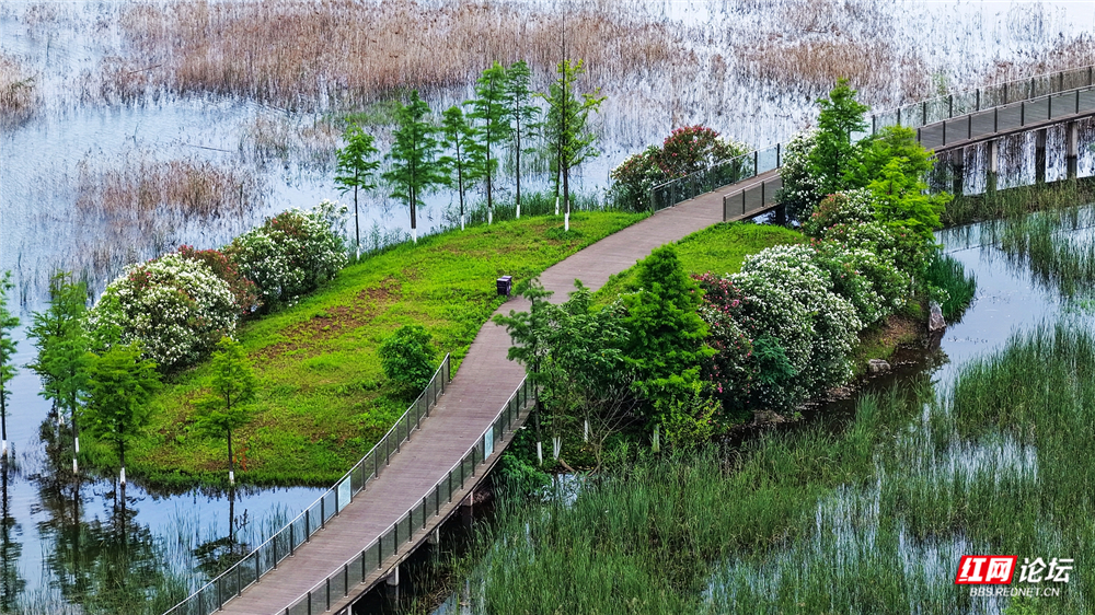 nEO_IMG_dji_fly_20260522_114110_0119_1779422678695_photo.jpg nEO_IMG_dji_fly_20260522_114110_0119_1779422678695_photo.jpg