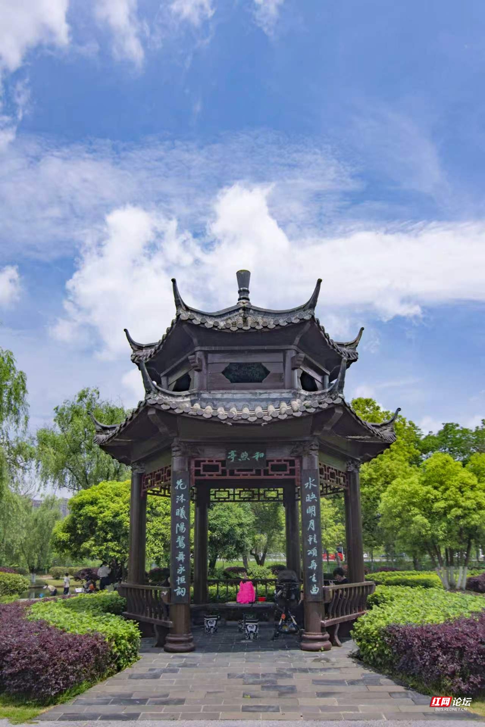 微信图片_2026-05-04_083006_011.jpg