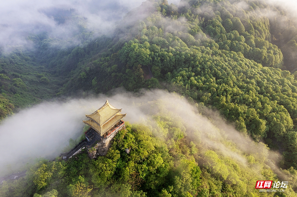nEO_IMG_DJI_0393_1.jpg