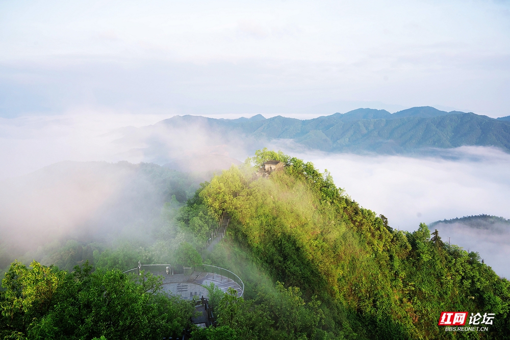 nEO_IMG_DSC04690 拷贝.jpg