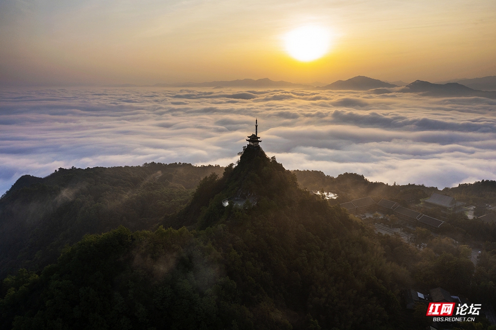 nEO_IMG_DJI_0311.jpg
