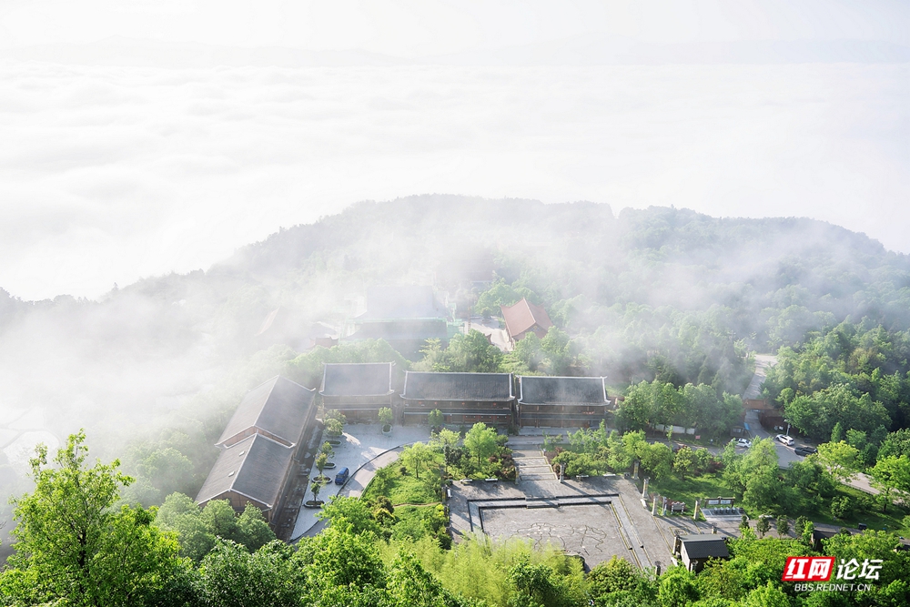 nEO_IMG_DSC04812 拷贝.jpg