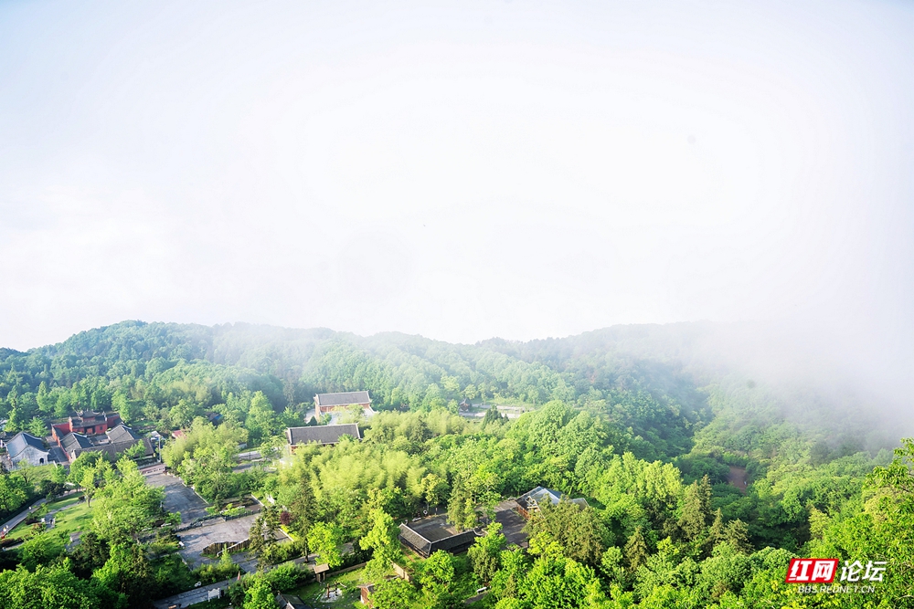 nEO_IMG_DSC04774 拷贝.jpg