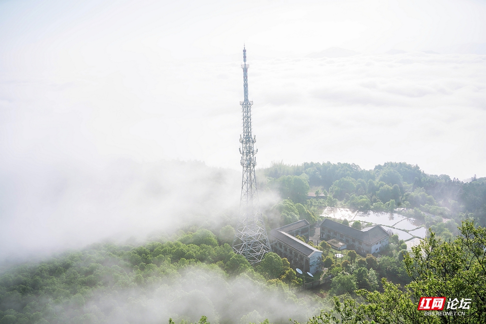nEO_IMG_DSC04830 拷贝.jpg