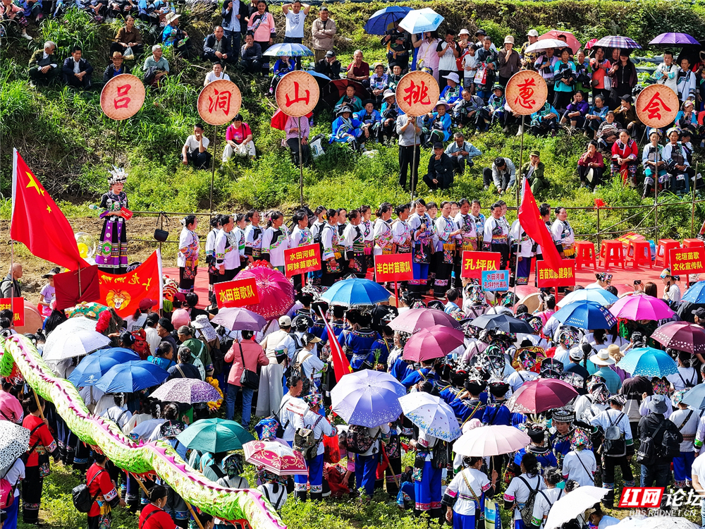 nEO_IMG_微信图片_20260601125603_39_4762.jpg nEO_IMG_微信图片_20260601125603_39_4762.jpg