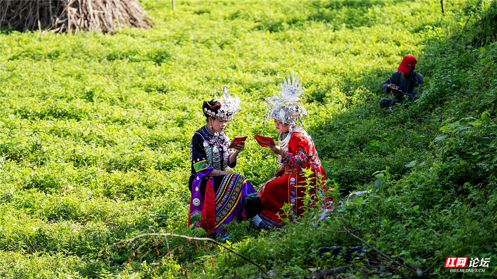 nEO_IMG_微信图片_20260601125635_47_4762.jpg nEO_IMG_微信图片_20260601125635_47_4762.jpg