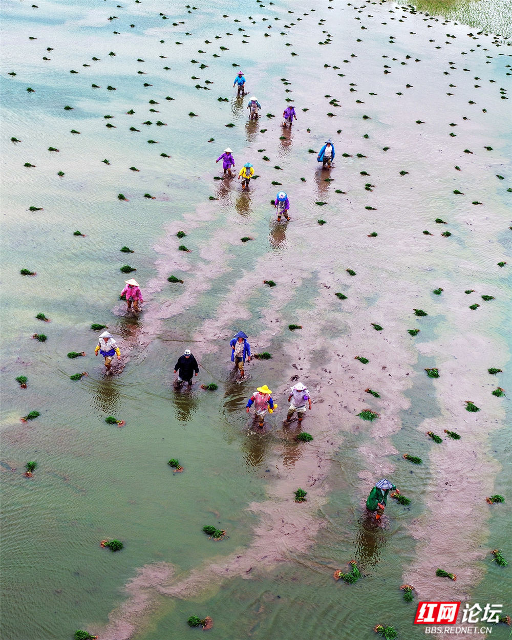nEO_IMG_DJI_20260622113748_0176_D 拷贝2.jpg