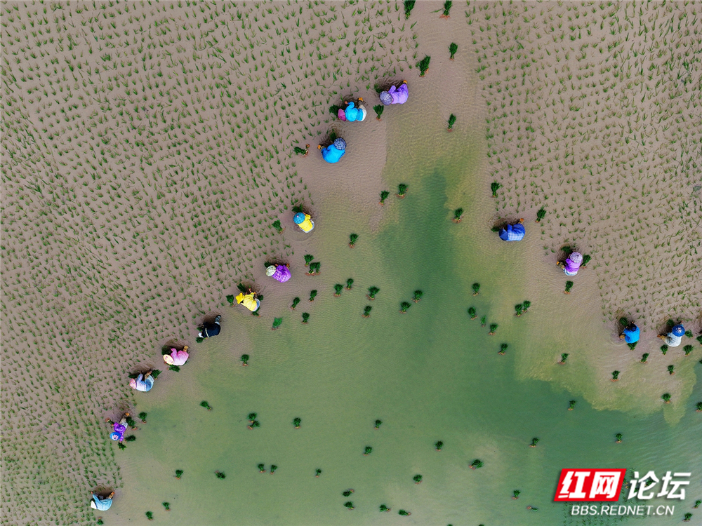 nEO_IMG_DJI_20260622111856_0130_D 拷贝2.jpg