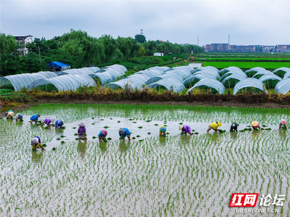 nEO_IMG_DJI_20260622112450_0164_D 拷贝2.jpg