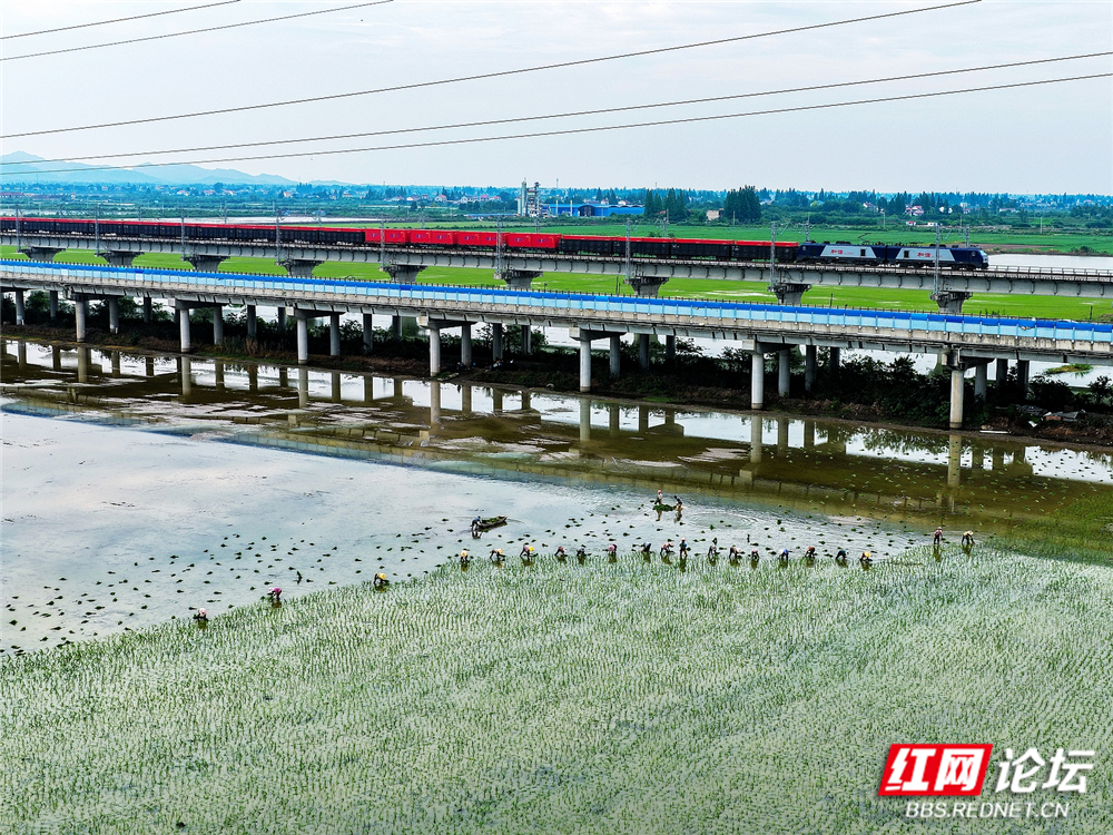 nEO_IMG_DJI_20260620164349_0003_D 拷贝.jpg