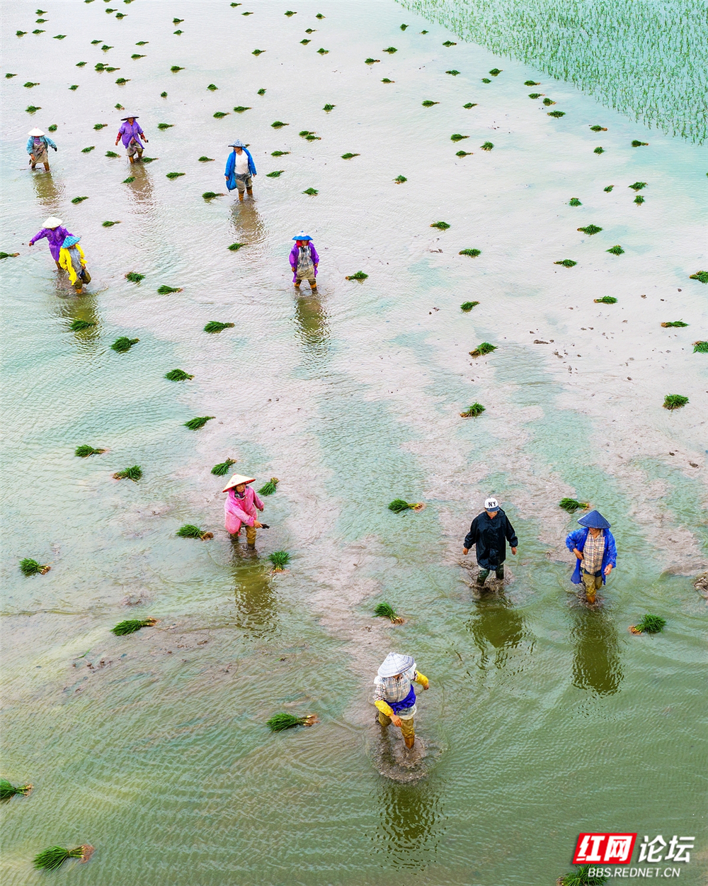nEO_IMG_DJI_20260622113800_0183_D 拷贝2.jpg