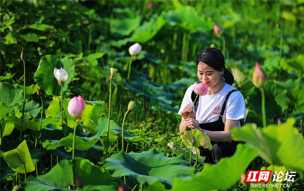 nEO_IMG_微信图片_20260625112232_77_706.jpg