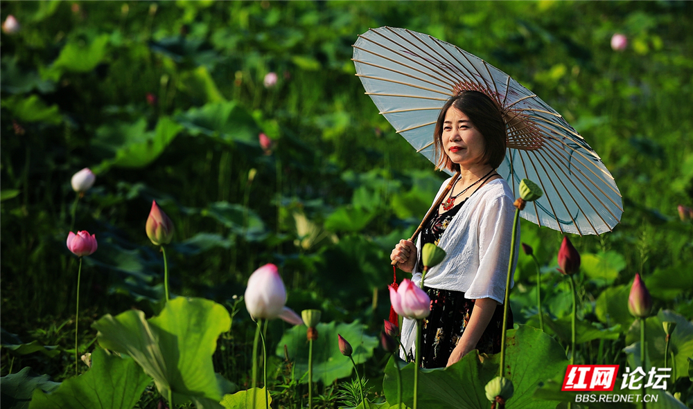 nEO_IMG_微信图片_20260625112238_81_706.jpg
