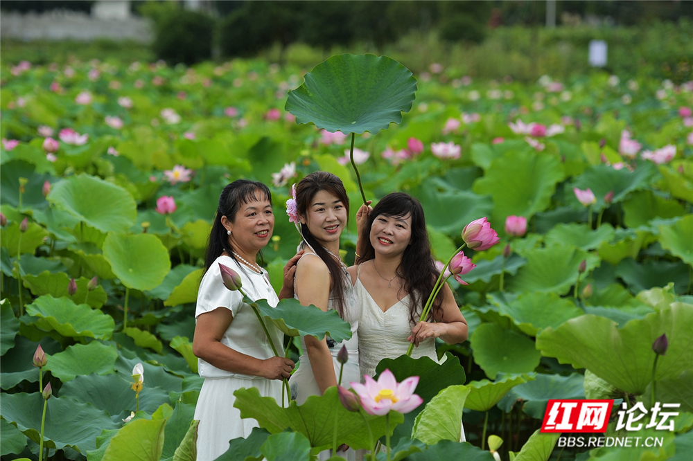 nEO_IMG_微信图片_20260629142625_1095_856.jpg nEO_IMG_微信图片_20260629142625_1095_856.jpg